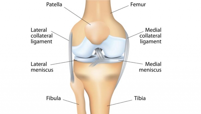 Knieverletzung: Was ist die „Unhappy Triad“?