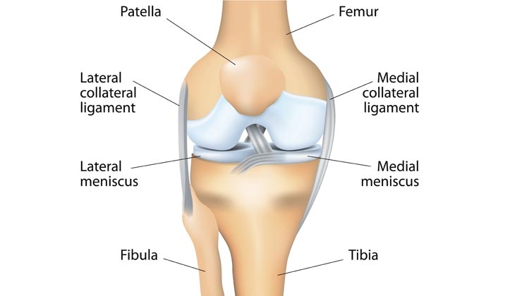 Knieverletzung: Was ist die „Unhappy Triad“?