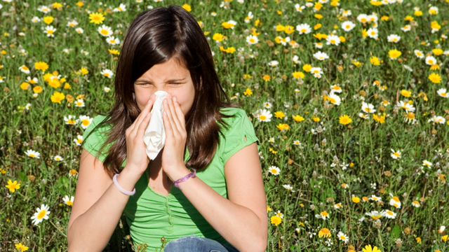 Achtung Allergie – Pollenkalender 2011