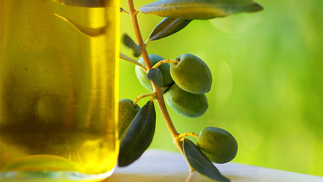 Olivenöl könnte Übergewicht vorbeugen