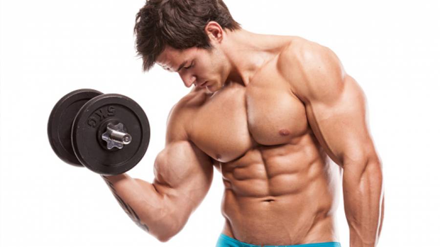 Muskelaufbau - Die perfekte Wiederholung