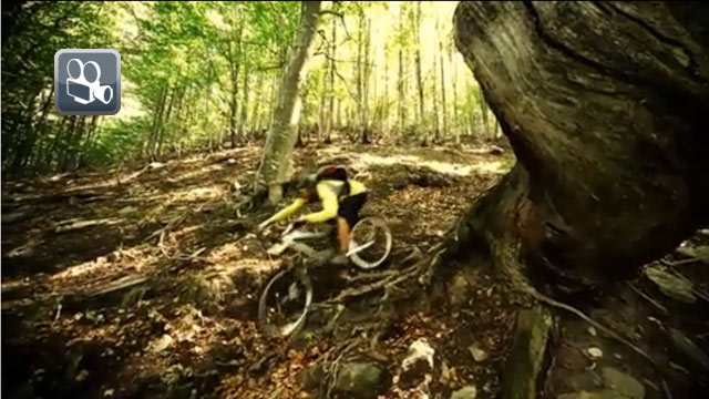 Mountainbike-Video: &quot;Schwarz-Trail-Fahnder&quot;