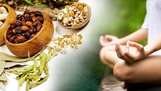 Ayurveda Basics – Die Grundlagen der ayurvedischen Ernährung