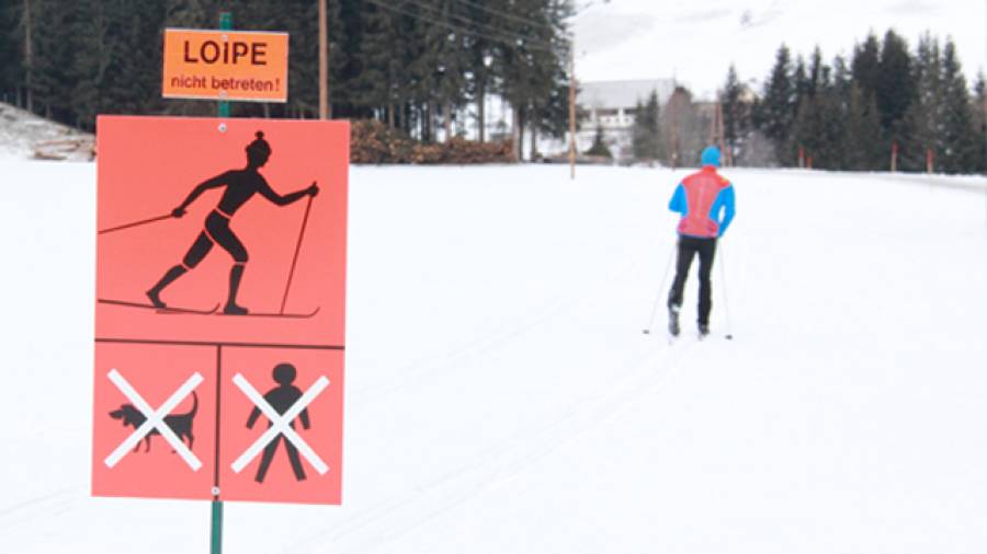 Klassisch – Skilanglauf für Einsteiger