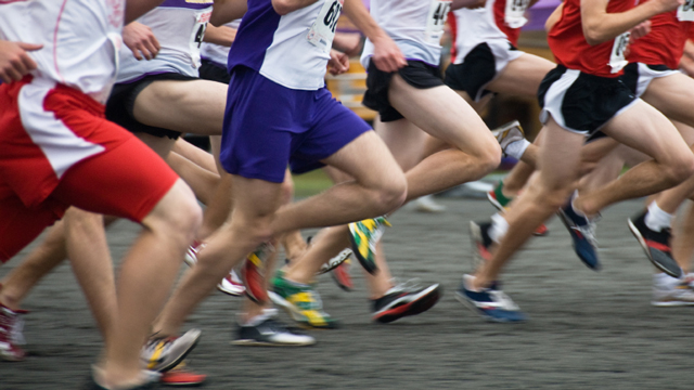 Auch Marathonläufer brauchen schnelle Muskelfasern