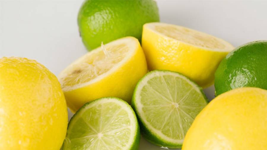 Sportdrinks selbstgemacht: Zitronen-Limonen-Sportdrink
