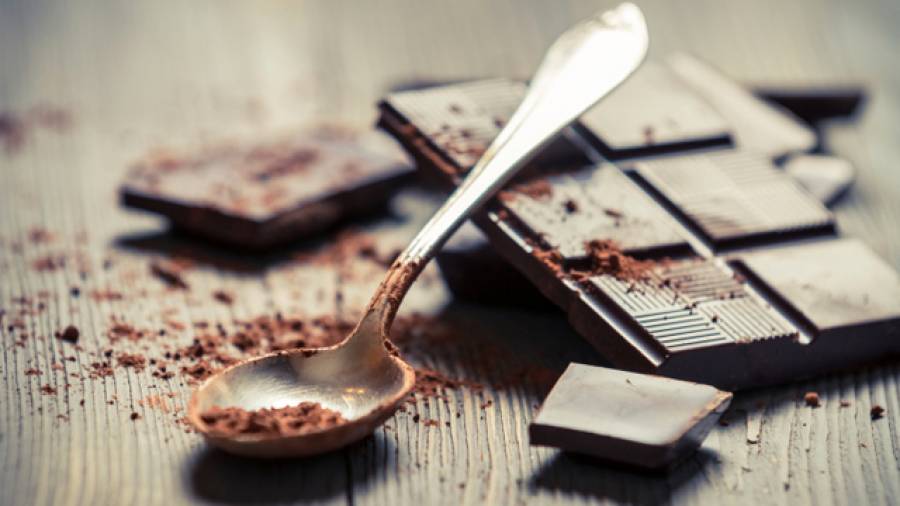 Darmgesundheit 1: Schokolade nur durch Bakterien gesund