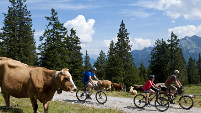 Mountainbiken im Klostertal