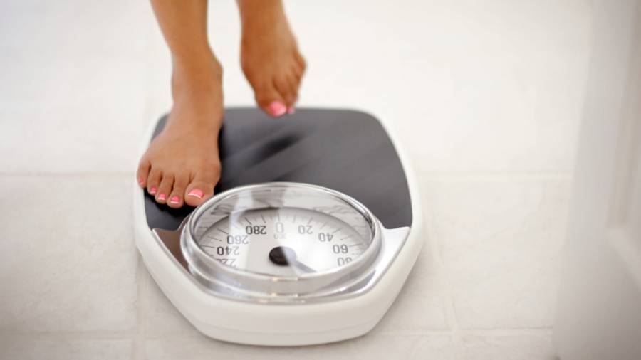 Braunes Fett – der Schlüssel zur Gewichtskontrolle?