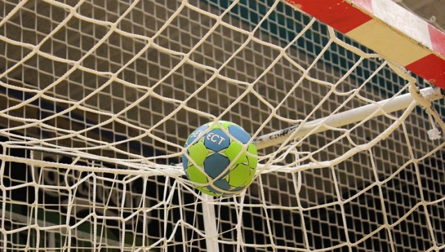 &quot;Handball-WM-Durchführung grundsätzlich nachvollziehbar, aber...&quot;