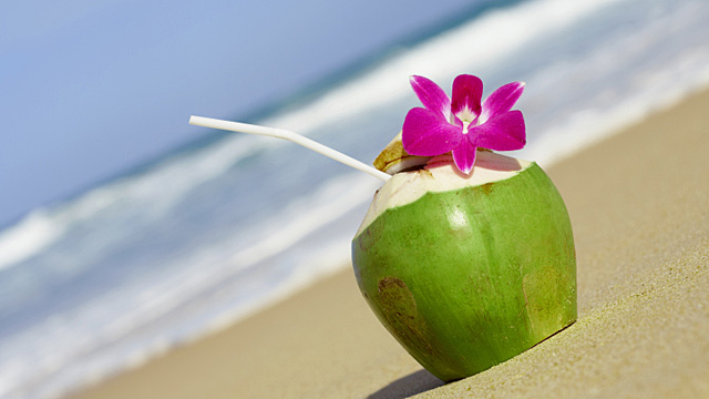 Sportgetränk Kokoswasser – Power von der Palme