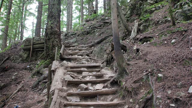 Der Grouse Mountain – Treppen, Treppen, Treppen