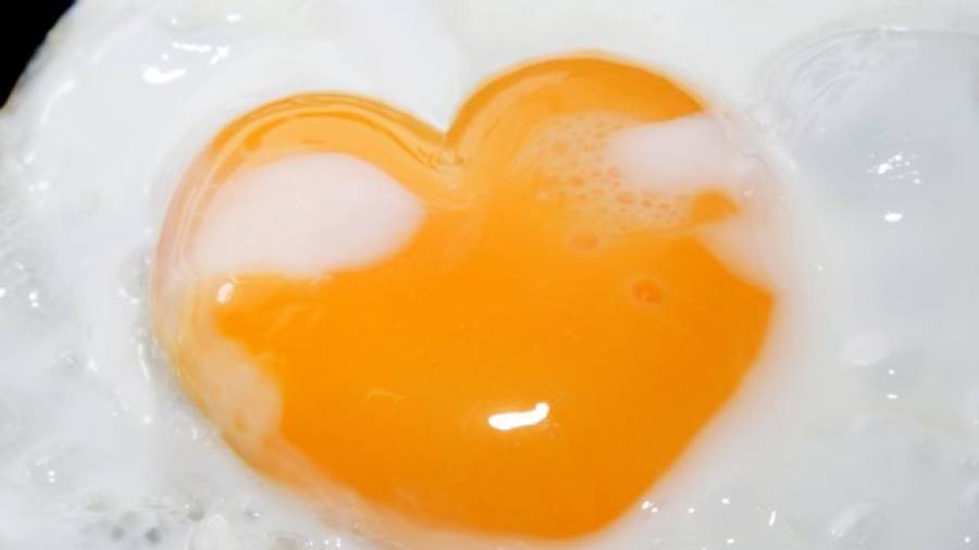 Erhöhen Eier wirklich den Cholesterinspiegel?