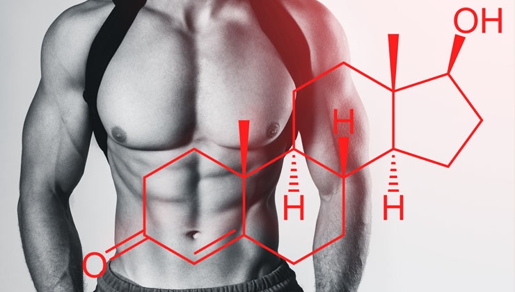 steroide anabolika: Eine unglaublich einfache Methode, die für alle funktioniert