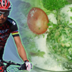 Rotwandwiesenhütte, Sexten