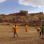 istockphoto.com/waddle