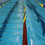 shutterstock.com/Brasiliao