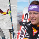 N. Borgstedt/D. Hoberg