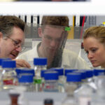 Frank Homann, Uni Bonn