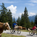 Bludenz Tourismus GmbH