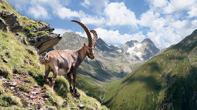 TVB Pitztal