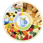 DGE-Ernährungskreis®, Copyright: Deutsche Gesellschaft für Ernährung e. V., Bonn