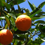 Rainer Sturm / pixelio.de