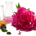 istockphoto.com/Olga Miltsova