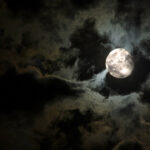 istockphoto.com/sgoodwin4813