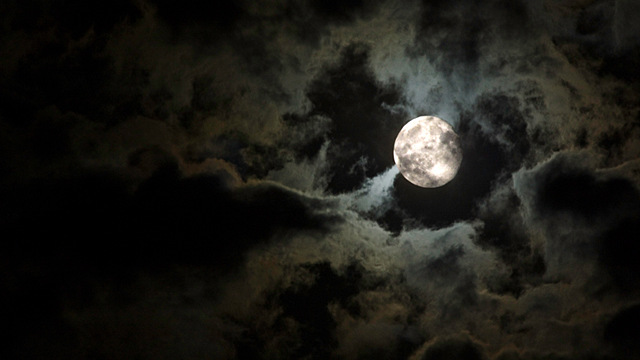 istockphoto.com/sgoodwin4813