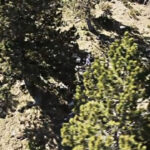 Salomon; Screenshot: http://youtu.be/axewzag1YCA