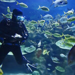 shutterstock.com/Tan Kian Khoon