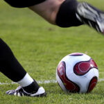 shutterstock.com/Sandro Donda