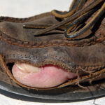 shutterstock.com/Greg Henry