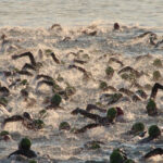 istockphoto.com/Fotolink