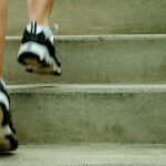 shutterstock.com/Christopher Edwin Nuzzaco