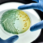 istockphoto.com/Sproetniek