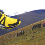 Salomon