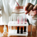 istockphoto.com/NiDerLander