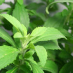 istockphoto.com/dirkr