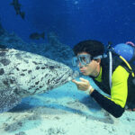 thinkstockphotos.de/Comstock Images