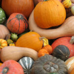 www.thinkstockphotos.de