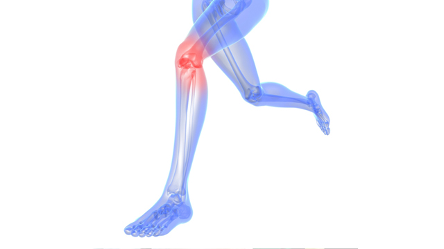 Thinkstockphotos.com