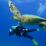 thinkstockphotos.de