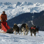 P.Gal/ Plagne Montalbert