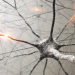 Thinkstockphoto.de
