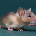 Thinkstockphotos.de