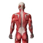 thinkstockphotos.com