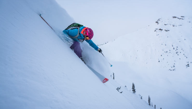 Cam McLeod