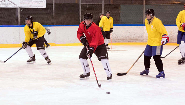 eishockey